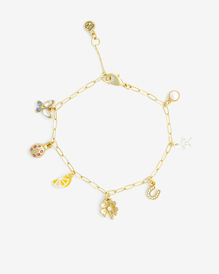 A Little Luck Charm Bracelet
