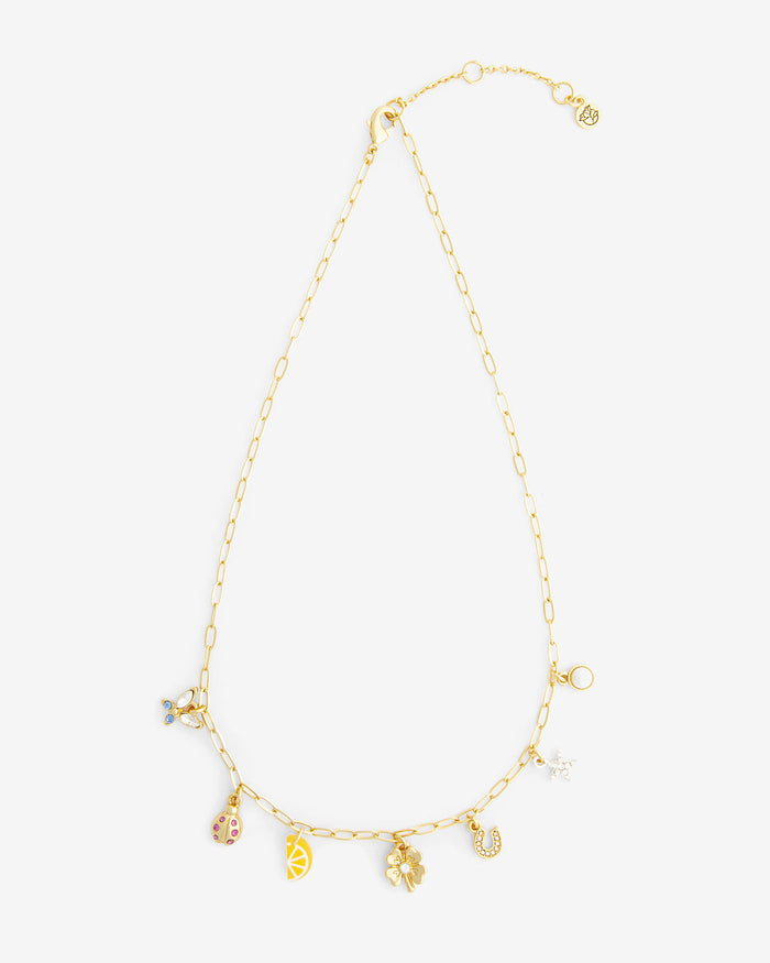 A Little Luck Charm Necklace