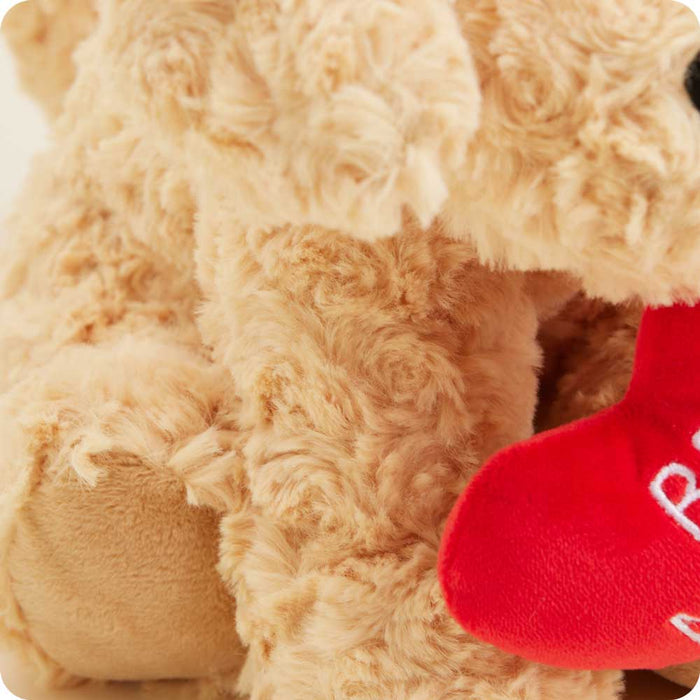 Soft Warm Weighted Be Mine Golden Dog Plush Warmies