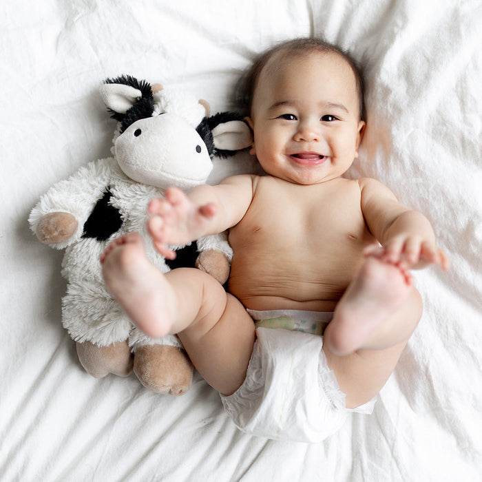 Baby laying down with Cute Weighted Lavender Scented Black and White Cow Stuffed Animal Heating Pad Warmies