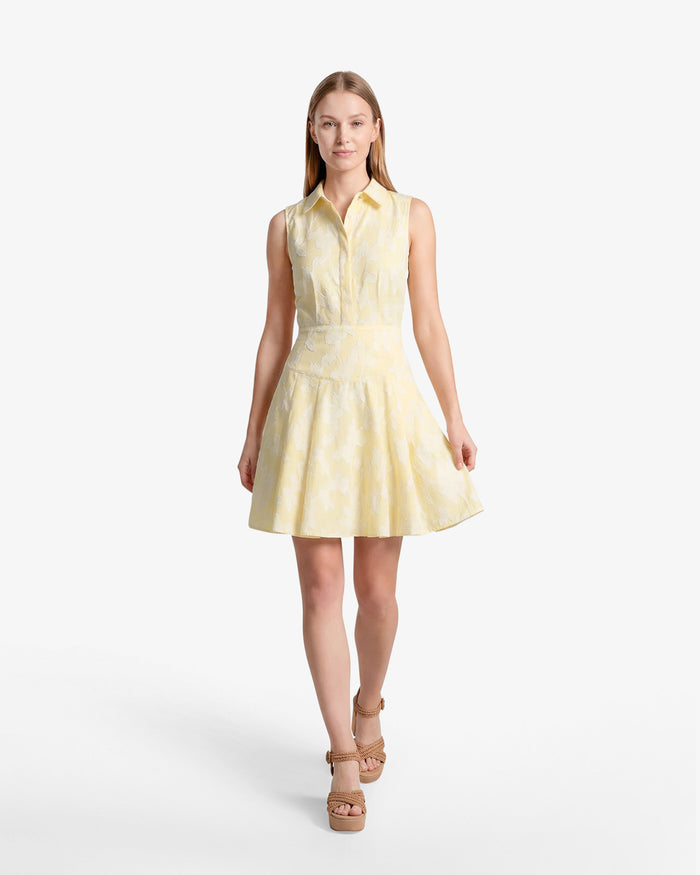 Brighton Mini Collared Dress in Striped Fil Coupe