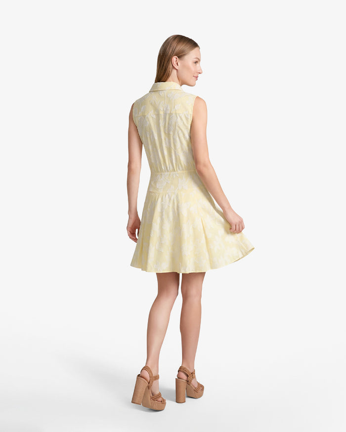 Brighton Mini Collared Dress in Striped Fil Coupe