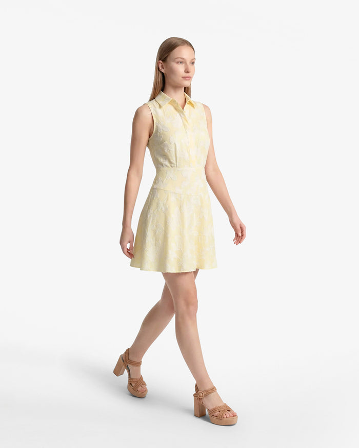Brighton Mini Collared Dress in Striped Fil Coupe