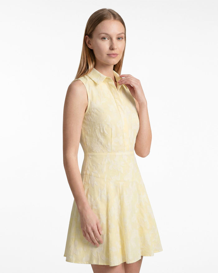Brighton Mini Collared Dress in Striped Fil Coupe