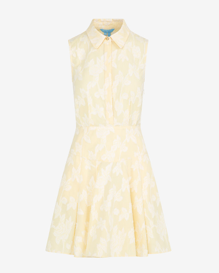 Brighton Mini Collared Dress in Striped Fil Coupe