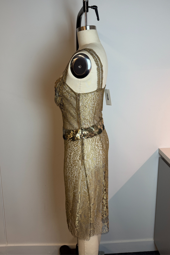 Colette Dinnigan Golden Lace Dress w/ Slip image 1