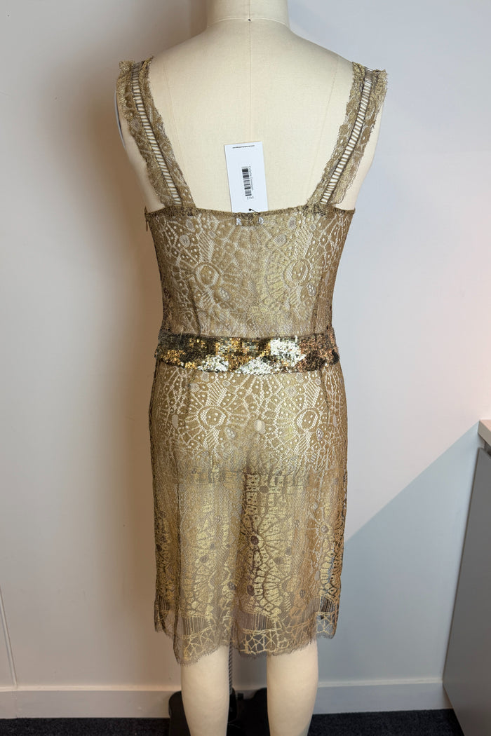 Colette Dinnigan Golden Lace Dress w/ Slip image 2