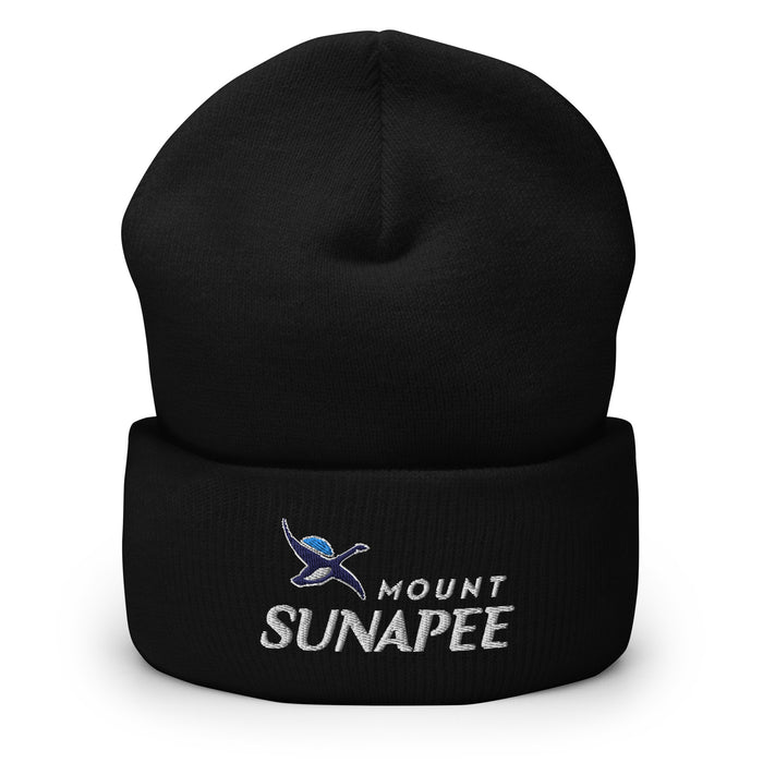 Cuffed Beanie - Sunapee