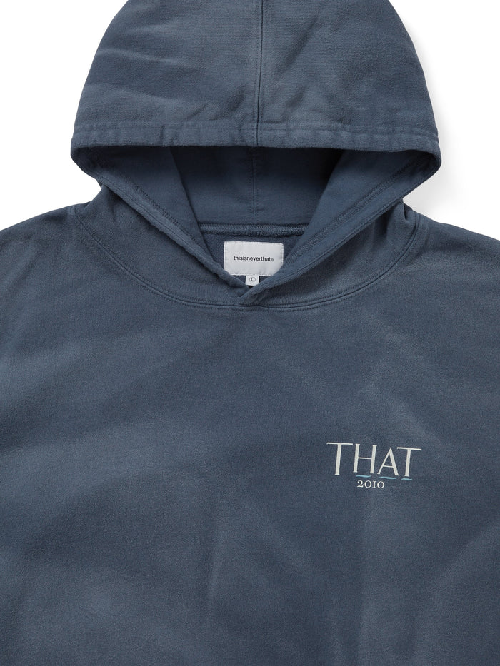 Faded THAT 2010 Hoodie