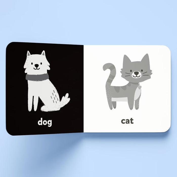 First Words - A high contrast board book