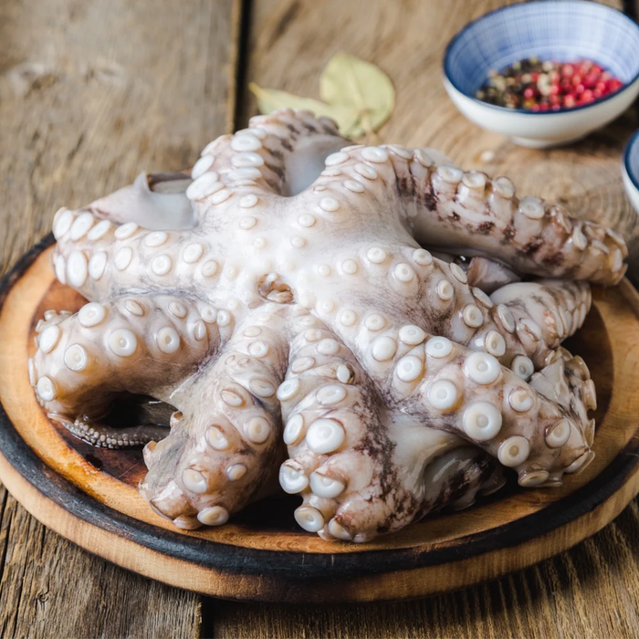 Fresh Premium Octopus