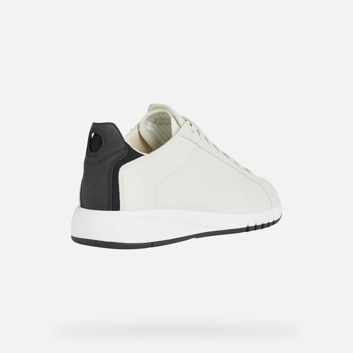 mw:img:141b704f301148927bb071138ae7263d