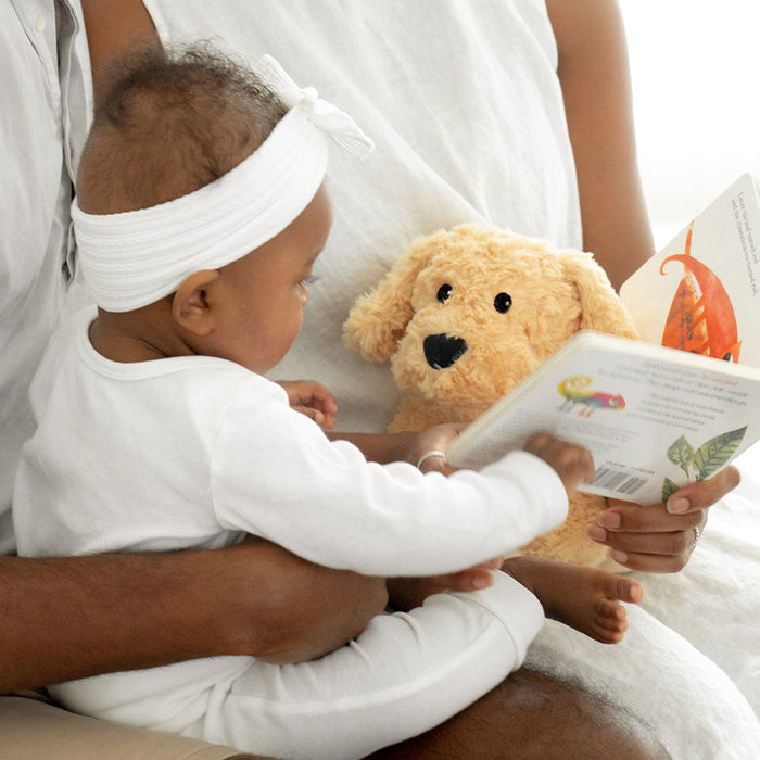Baby boy looking at Cute Weighted Lavender Scented Golden Dog Stuffed Animal Heating Pad Warmies