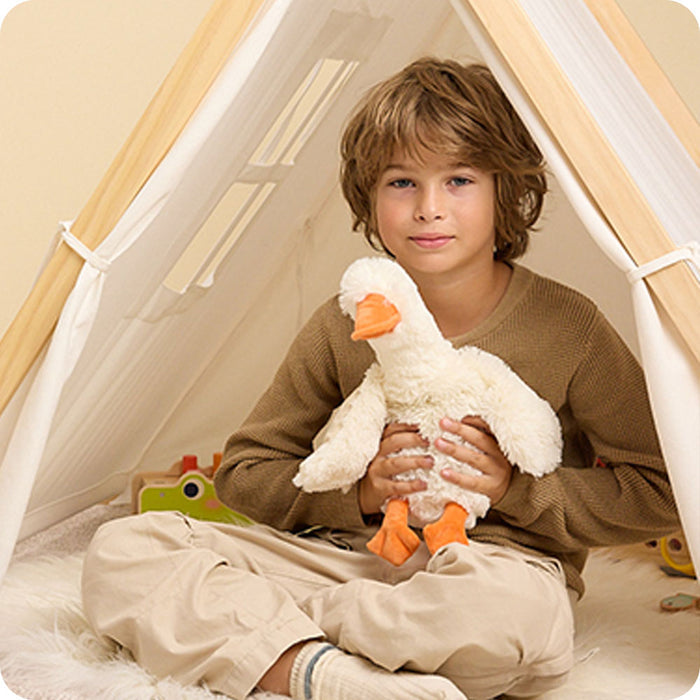 boy holding a duck stuffed animal