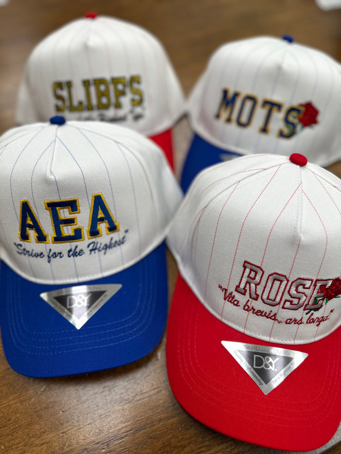 Music Greek - Premium Pinstripe Snapbacks