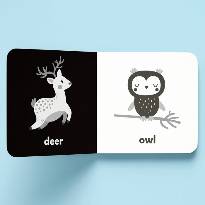 Nature - A high contrast board book