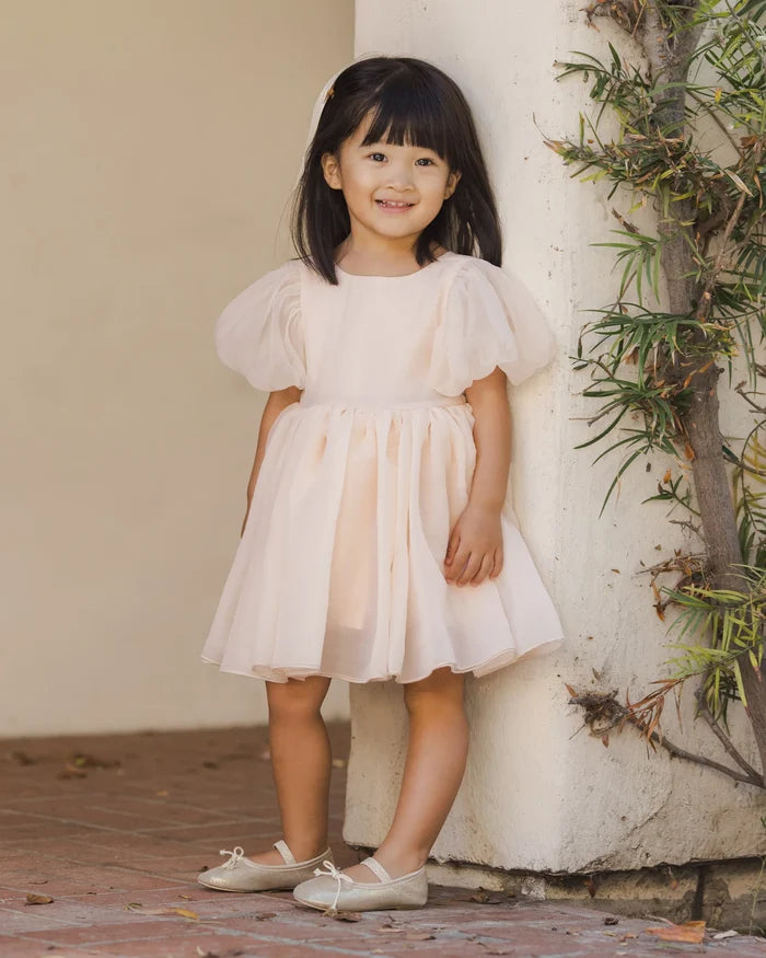 Noralee - Sofia Dress - Blush
