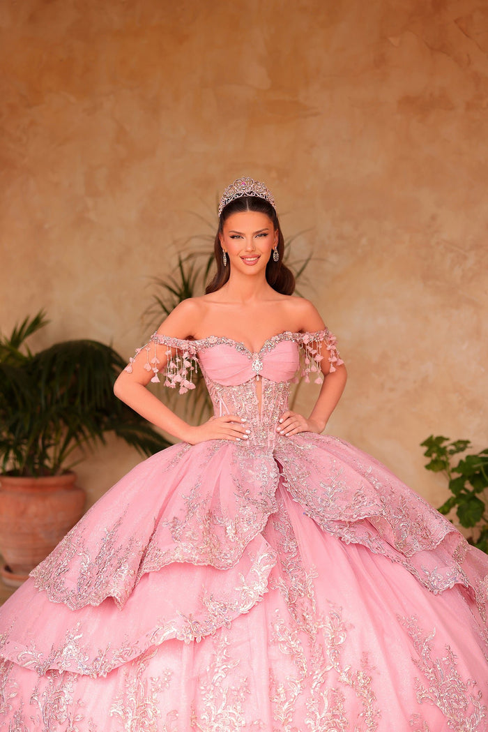 A young woman wears an ornate pink ball gown with silver lace and a sparkling tiara.
