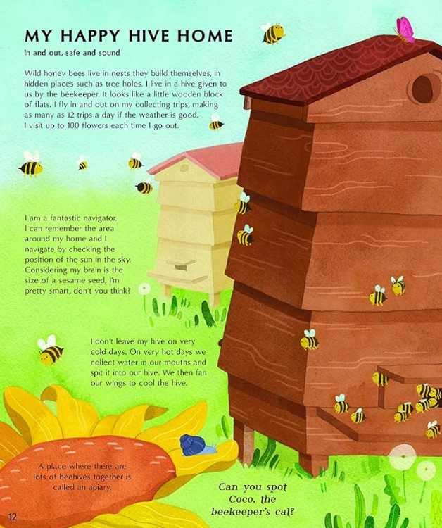 The Secret Life of Bees by Moira Butterfield