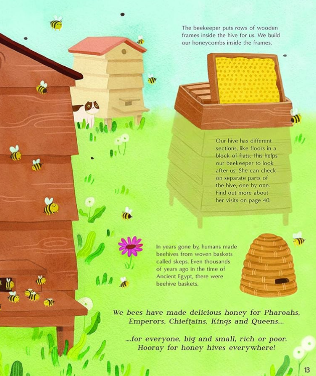 The Secret Life of Bees by Moira Butterfield