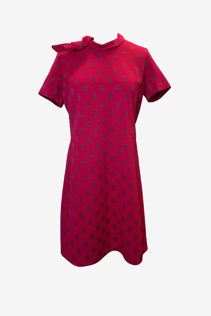Tie Neck Red Polka Dot Mini Dress