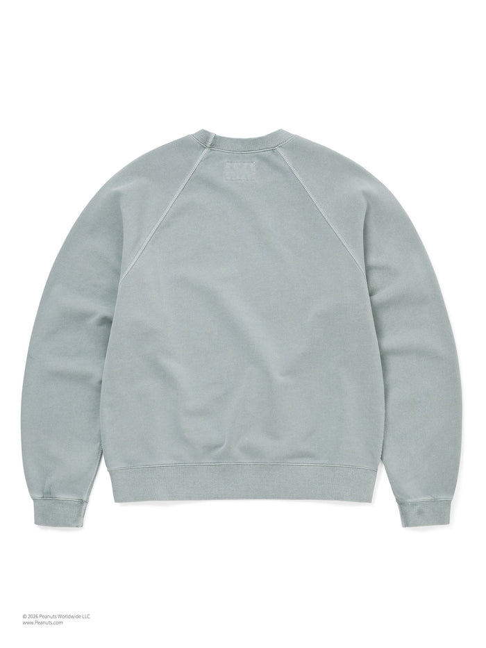 TNT PEANUTS Faded Crewneck