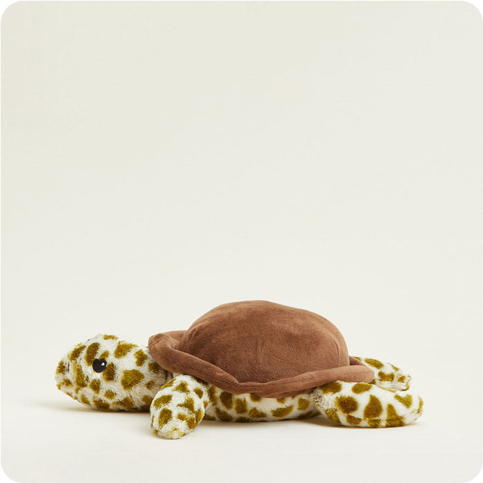 Microwavable Turtle