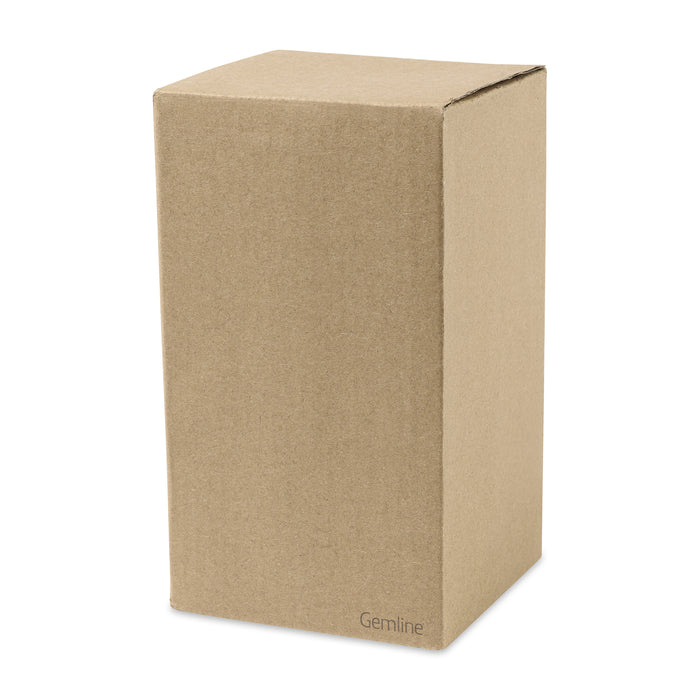 Ultra Brite LED Lantern Light