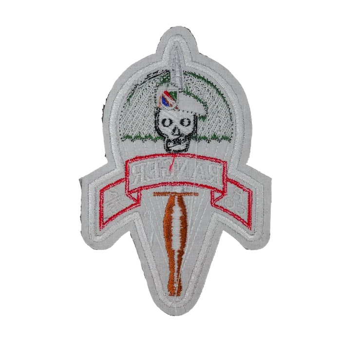 US Army B Company, 2nd battalion, 75th Ranger Regiment Patch - Army & Outdoors - Flags, Badges & Insignia